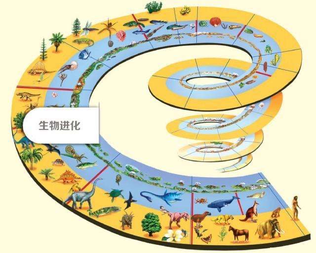 漫谈地球生命起源,你相信生物进化论还是地球动物园假说?
