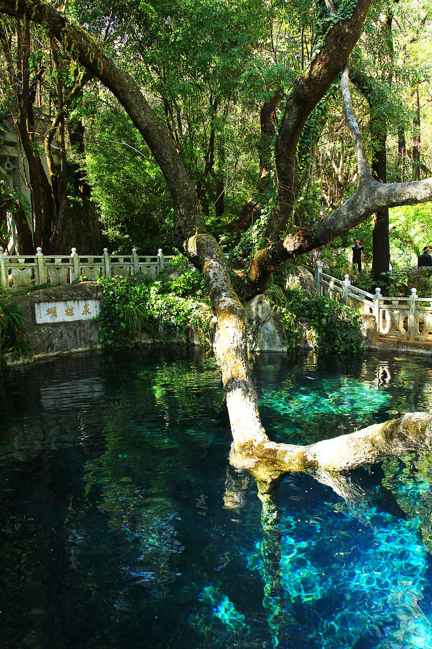 穿越时空的旅行# 大理蝴蝶泉,位于云南省大理市的一处自然景观,以其