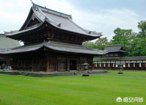 日本瑞龙寺真龙标本为何不用dna来鉴定来验证标本的真假?