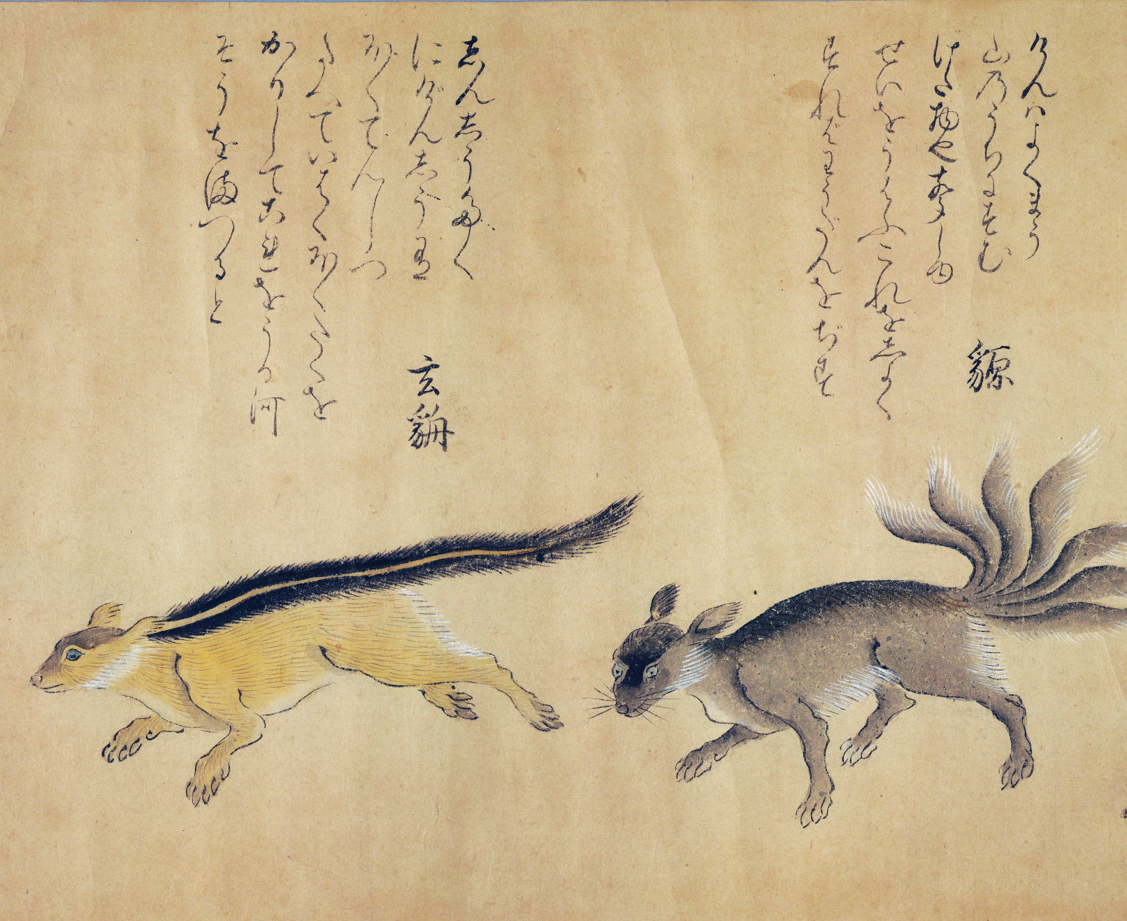 《山海经》鸟兽彩绘图卷!绘制于日本江户时期!成城图书馆珍藏!