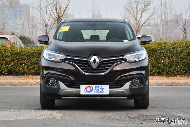 栗壳棕色的科雷嘉