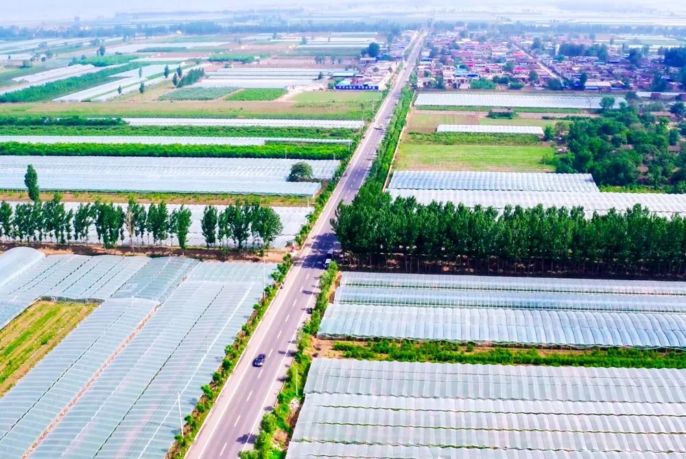 这10条路被命名为宁夏"最美农村路",看看你走过几条