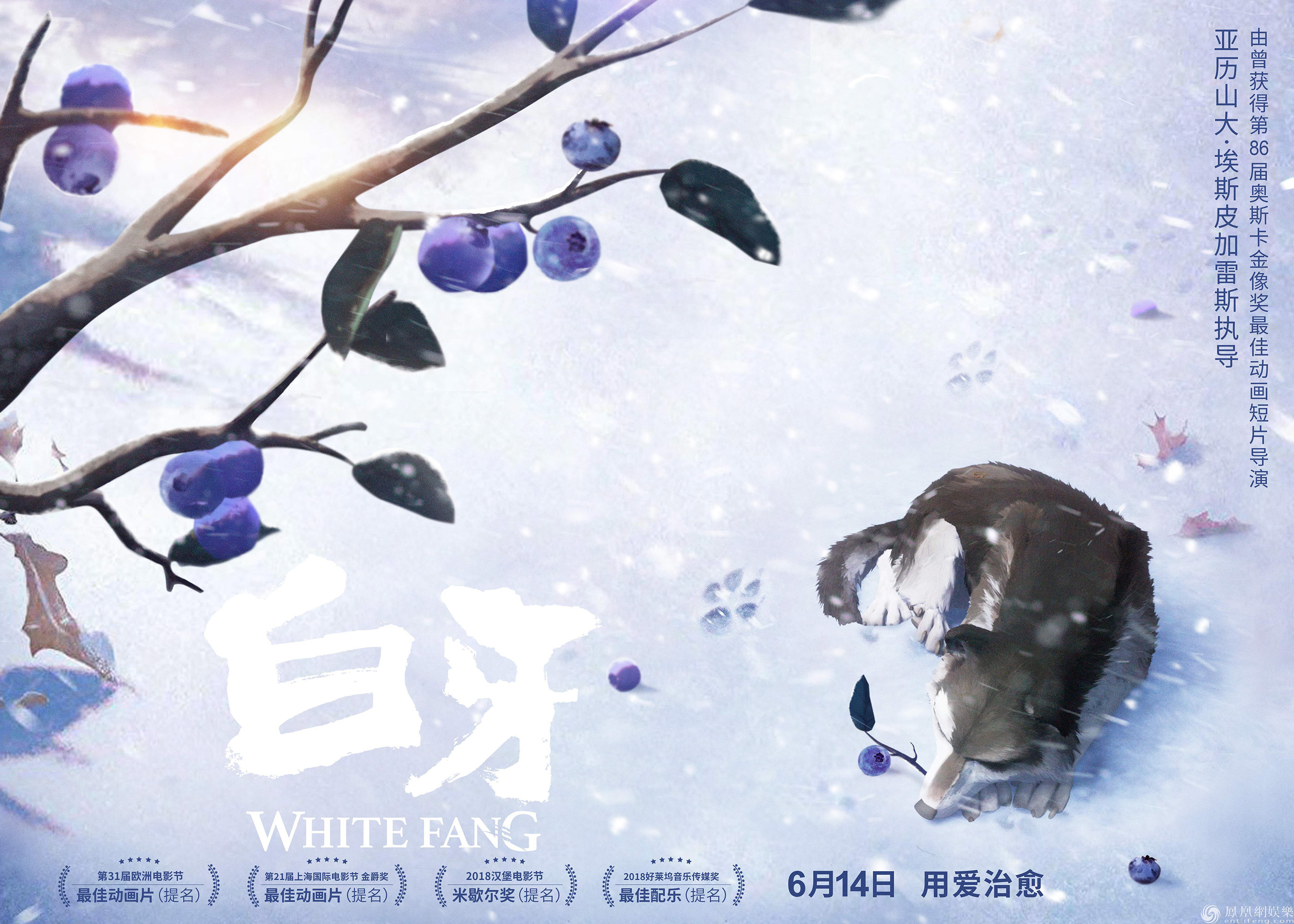 电影《白牙》定档614 奥斯卡导演护航再现百年经典