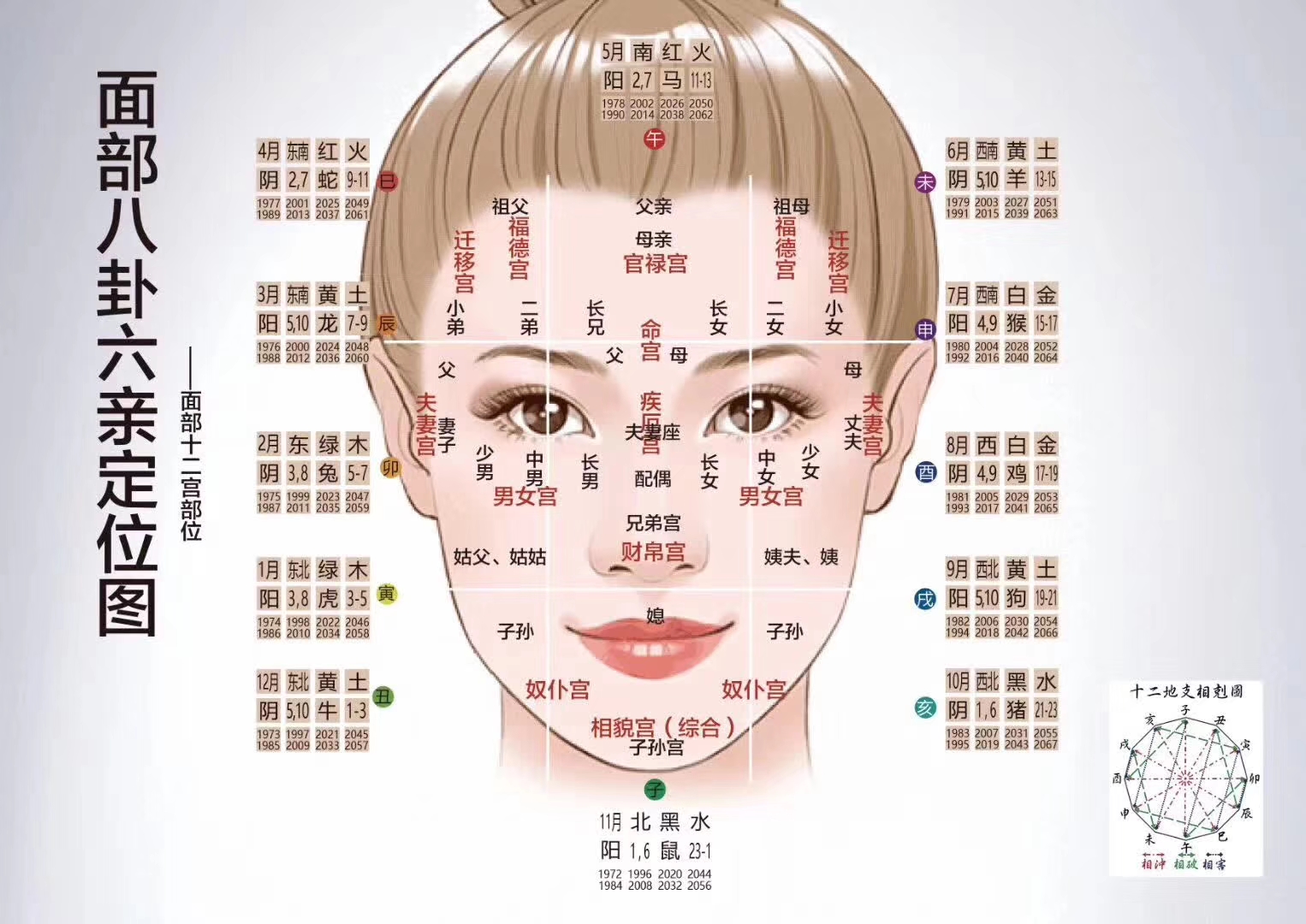 脑门位置示意图图片