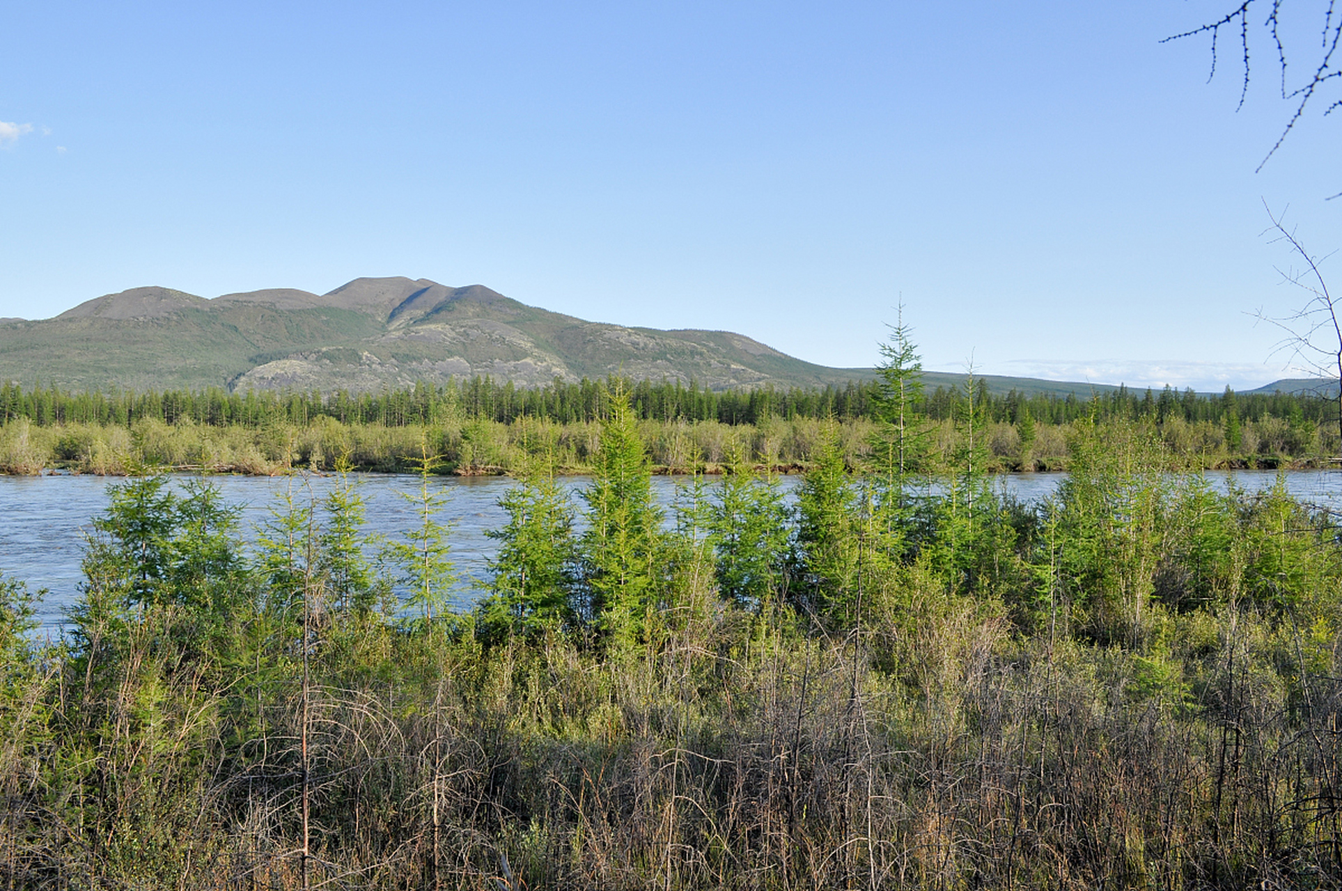 乌素图国家森林公园,隐藏在内蒙古呼和浩特的绿色宝藏! 乌素图国家森