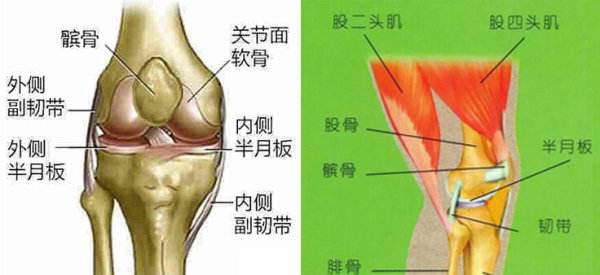 膝盖疼别忽视!一个方法帮你识别膝盖积水