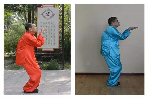 精武课堂——戴氏心意拳身法与十六注