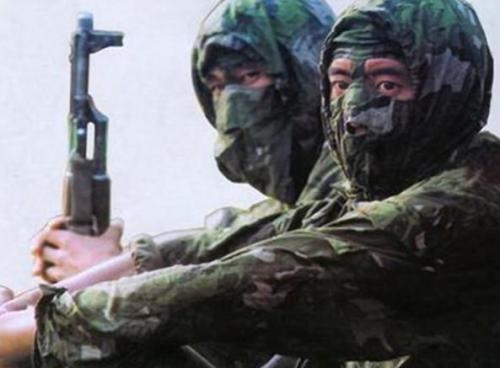 对越自卫反击战纪实:只回来两人——惊心动魄的特种兵侦察兵战