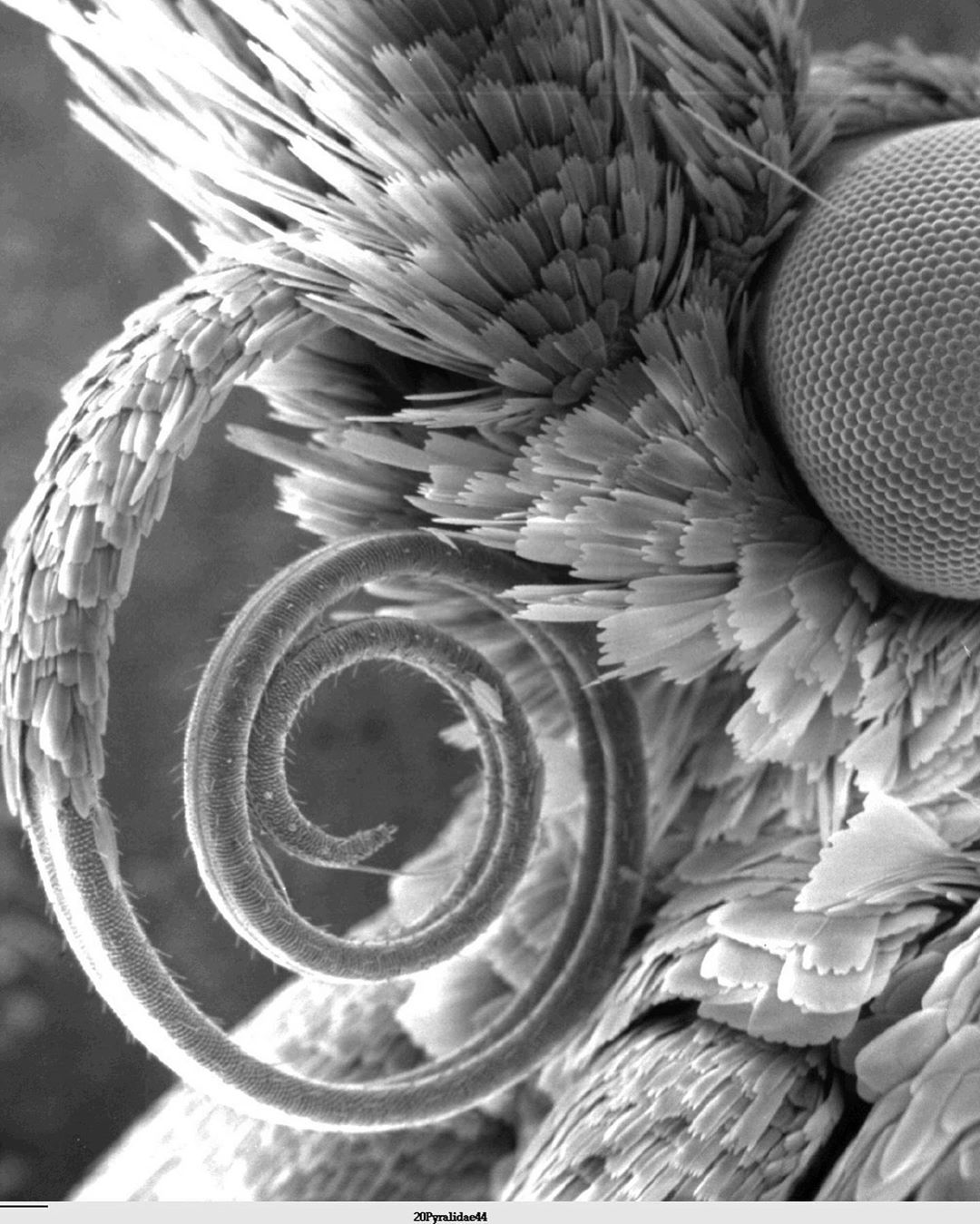 显微镜下 - 热门商品专区