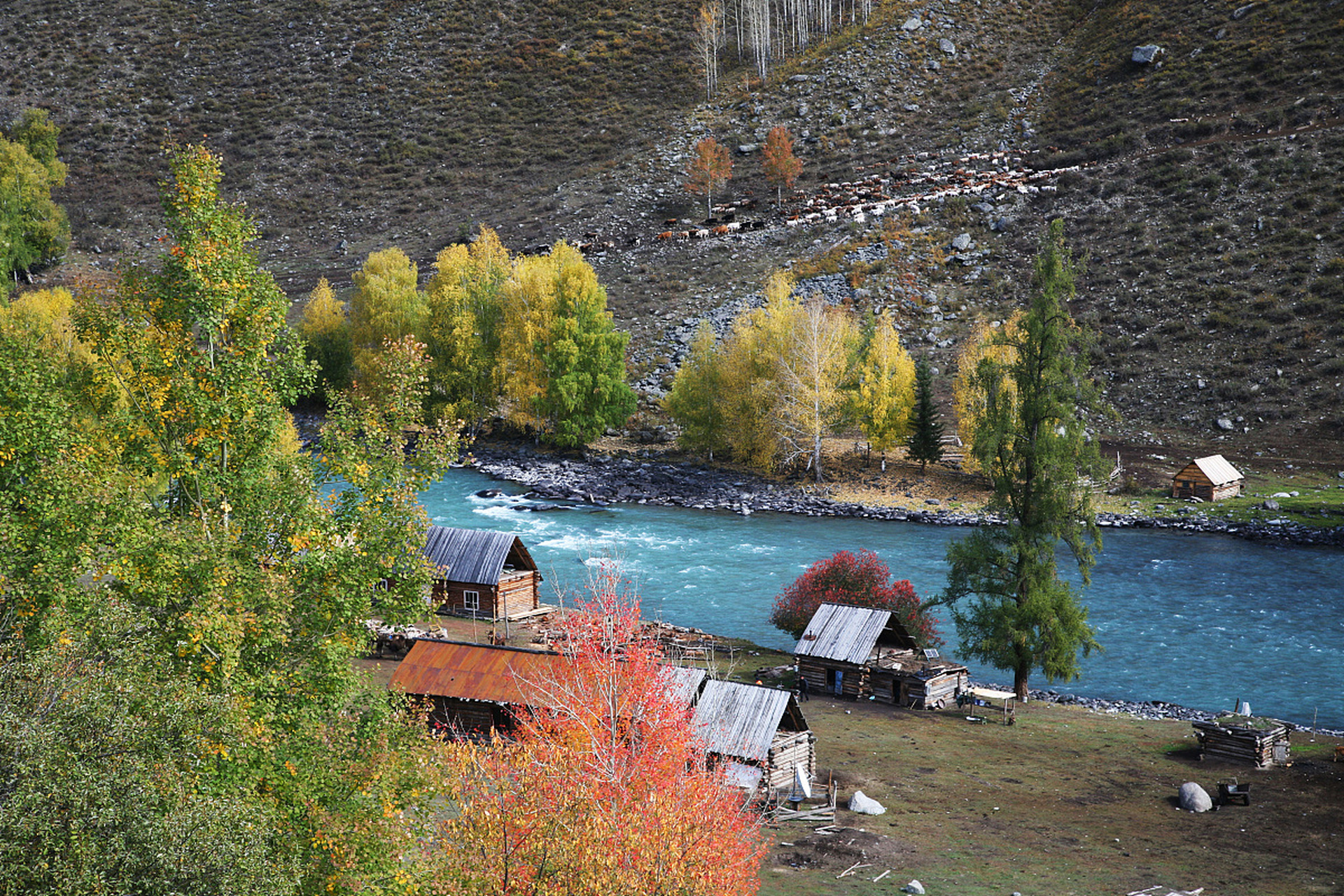 喀纳斯景区位于新疆维吾尔自治区阿勒泰地区布尔津县境内,是一个著名
