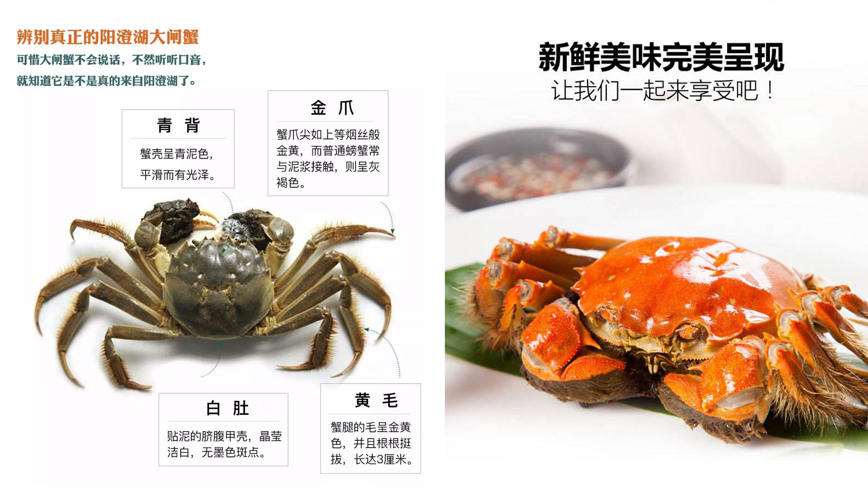 秋季时鲜大闸蟹配农家小菜,不容错过最后一波时令美食