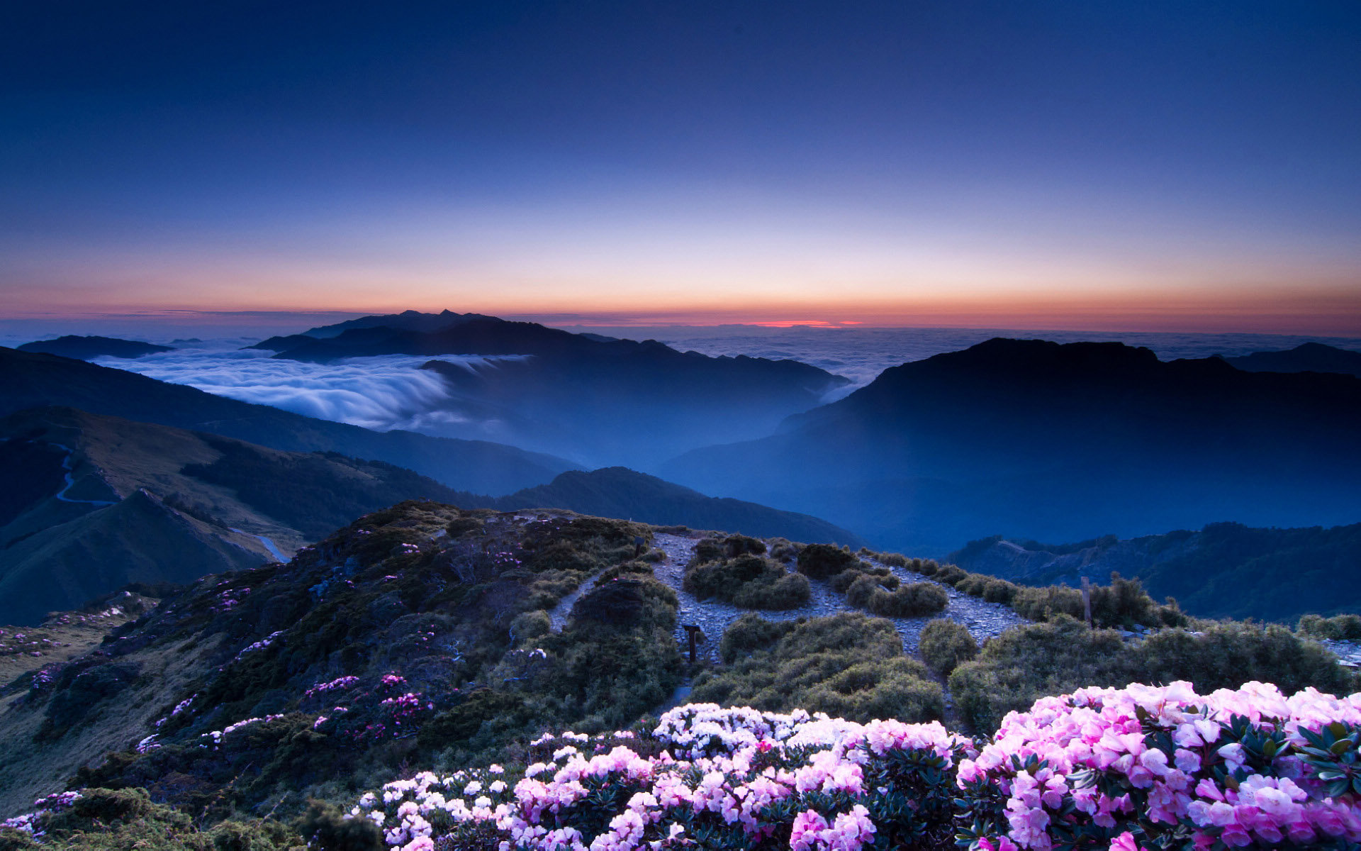 脑筋急转弯:谁没了细菌,无法维持生活?医学生感觉都白读了