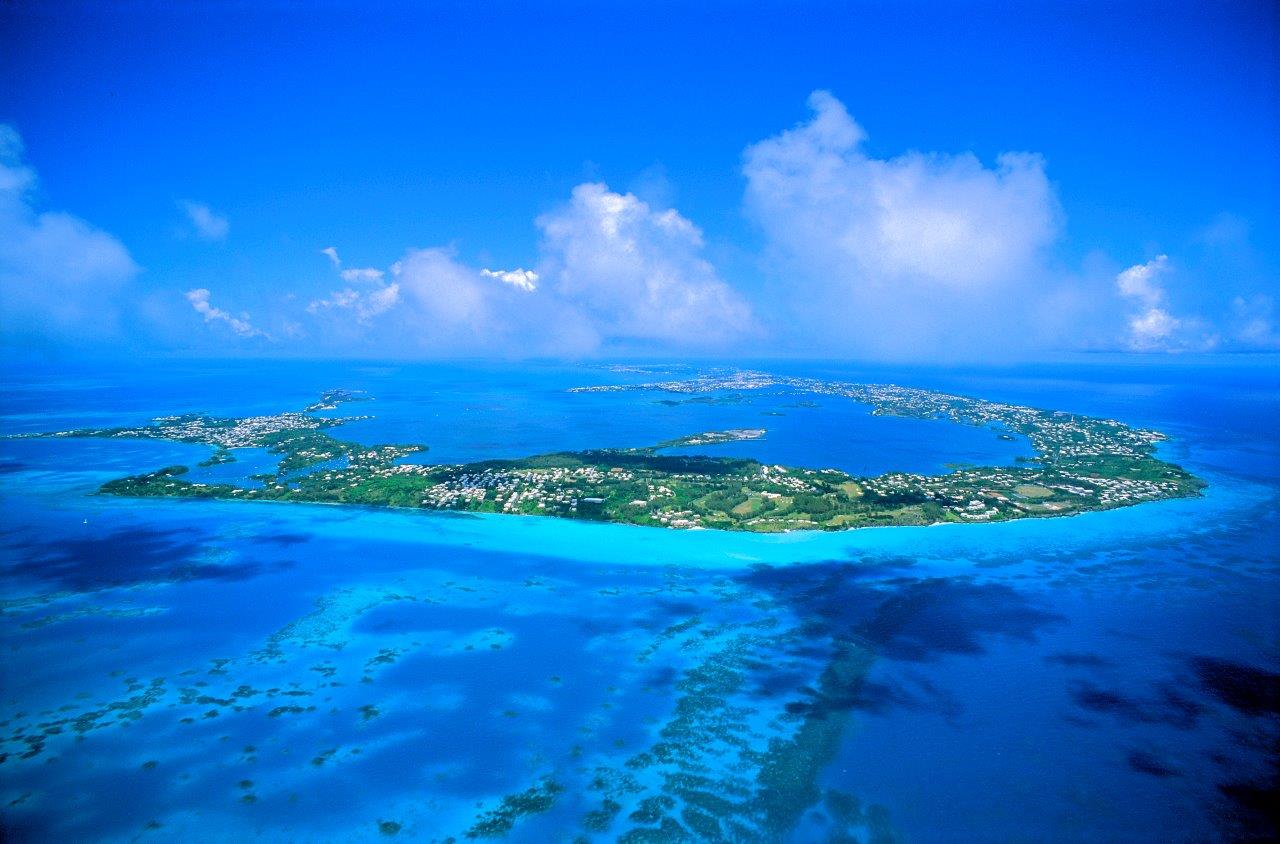 百慕大群岛国徽图片