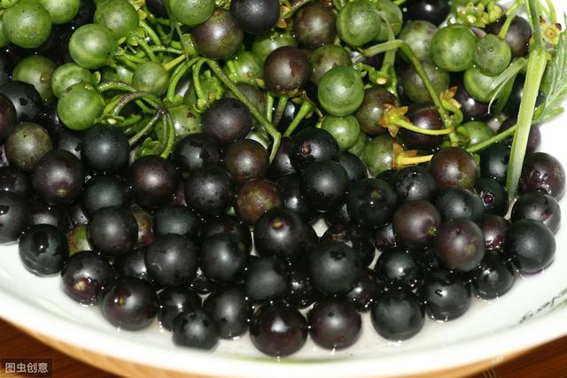 乡情散文:馋人的水果:"黑悠悠"