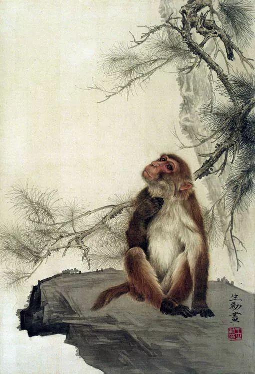 王申勇|用画笔定格了动物传神的瞬间