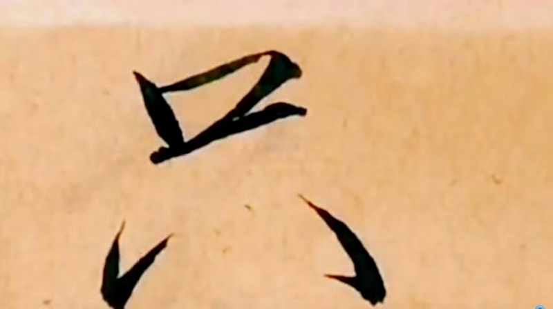 42c03a35ec79ae531ca96007613f260b.jpeg@s_0,w_800,h_1000,q_80