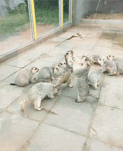 搞笑gif图笑话由漫画八妹编辑2:晚上下班的时候,天气小雨淅沥,而我也