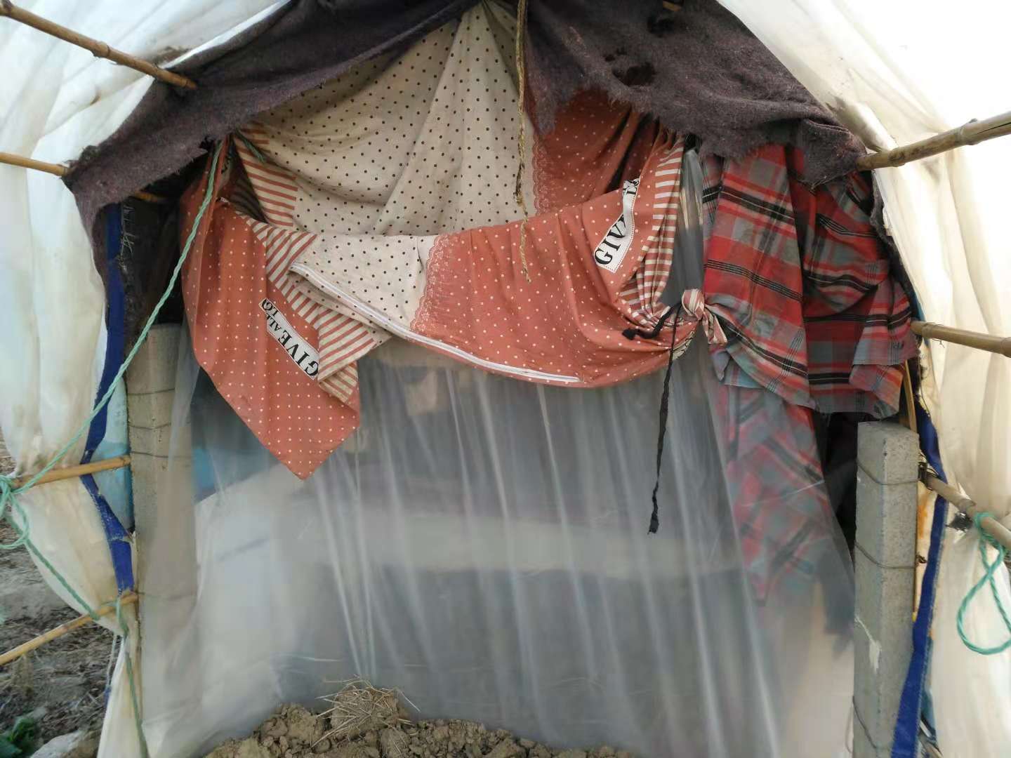 简易的窝棚前面只用一条床单和塑料布遮风避雨