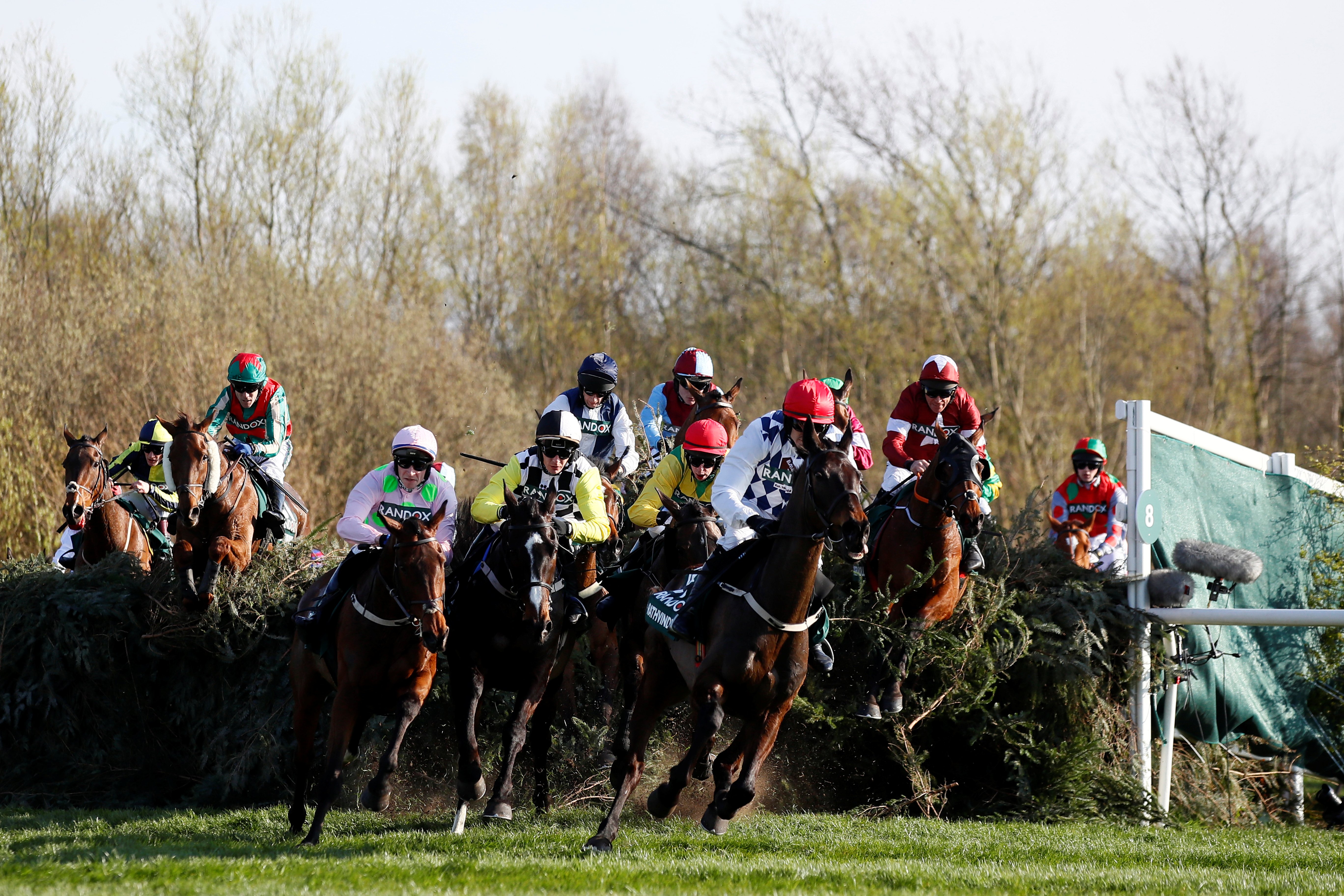 英国国家障碍赛马大赛落幕(2)