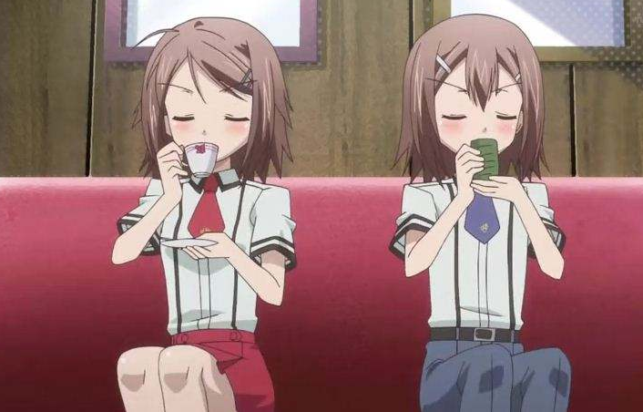 璃星和蓝璃,一个是小棉袄,另一个是小傲娇,总是喜欢穿着女仆装,欺负家