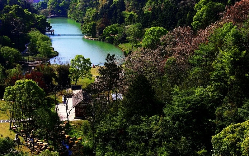 大美湾里梅岭好美