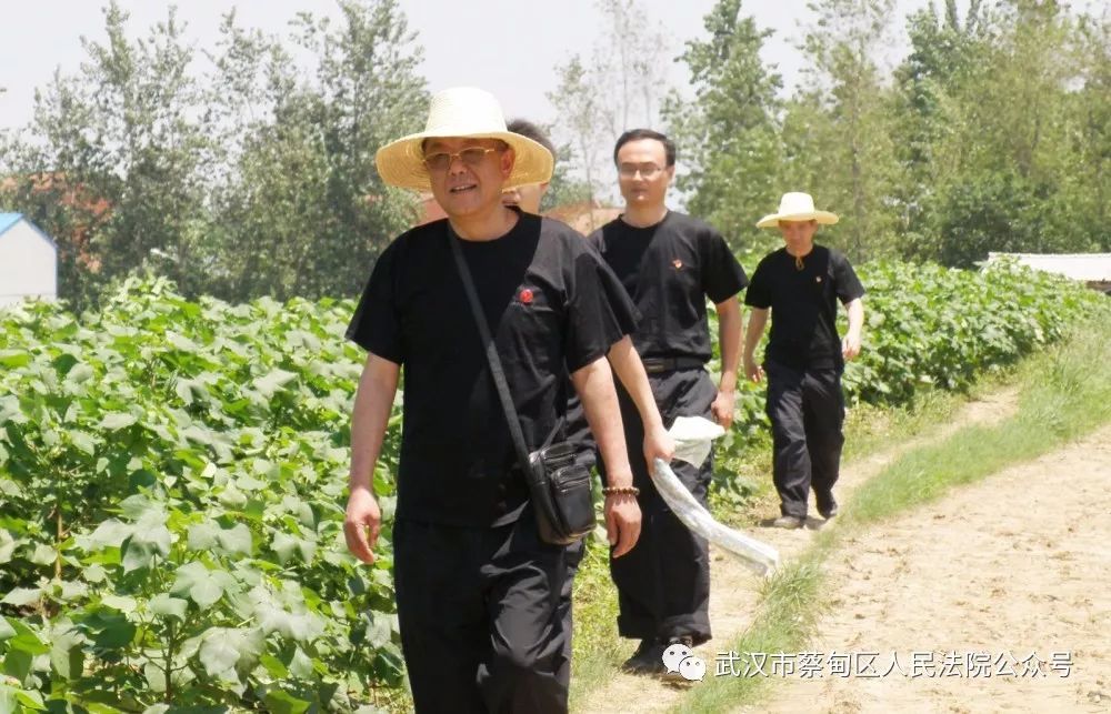 蔡甸區區委書記陳新垓走訪慰問區法院因公殉職黨員李.