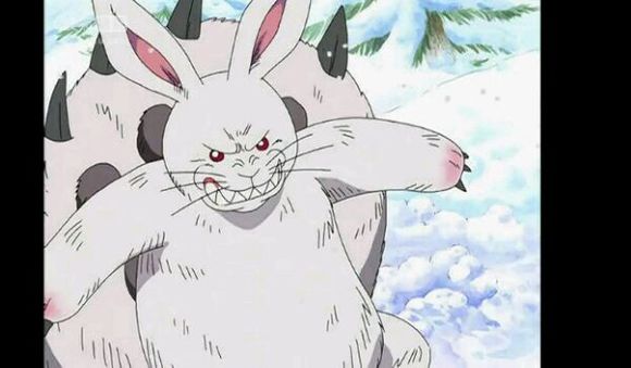 海贼王,这七大有故事的小动物,忠心加勇敢,有没有把你感动哭了