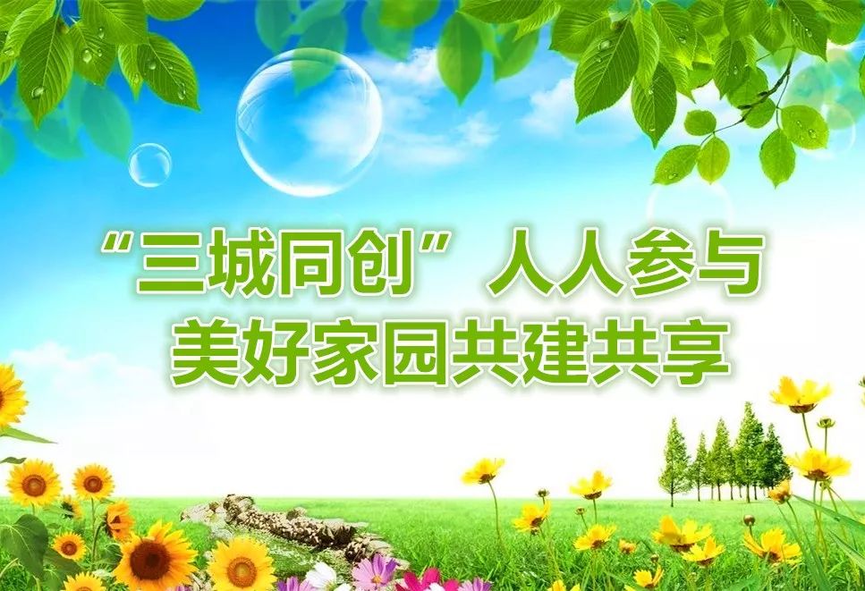 "三城同创"先进事迹 | 叶金香 :"为了城市的整洁!