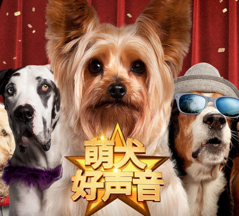 来吸汪!《萌犬好声音》曝新春海报内地定档3月24日
