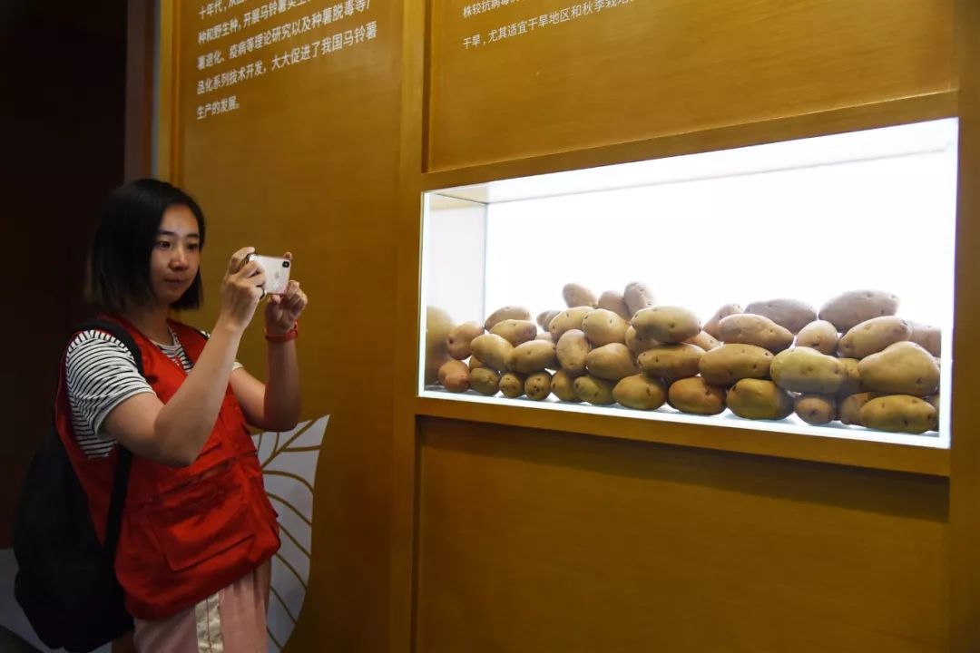 穿越内蒙古丨这个高大上的博物馆,和你天天吃的土豆有关,感不感兴趣?