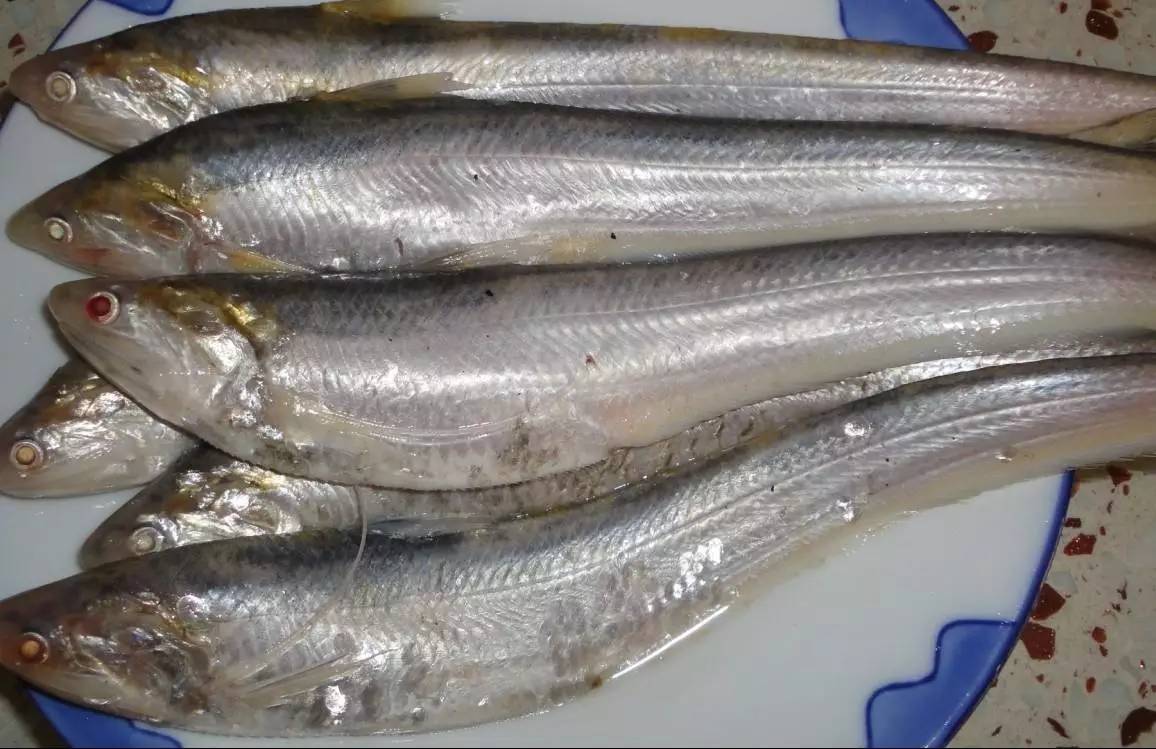 中国最贵的食物,吃过两种就是土豪了,最后一种有钱也不一定吃到