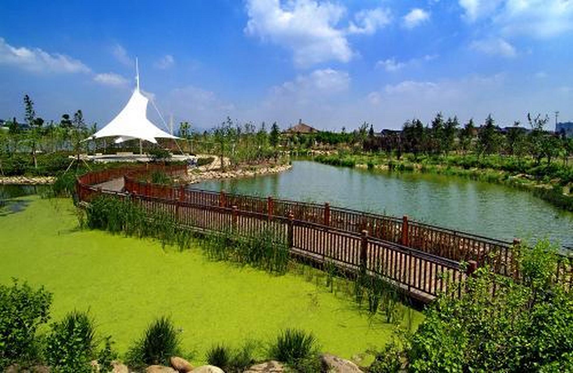 无锡长广溪湿地公园图片