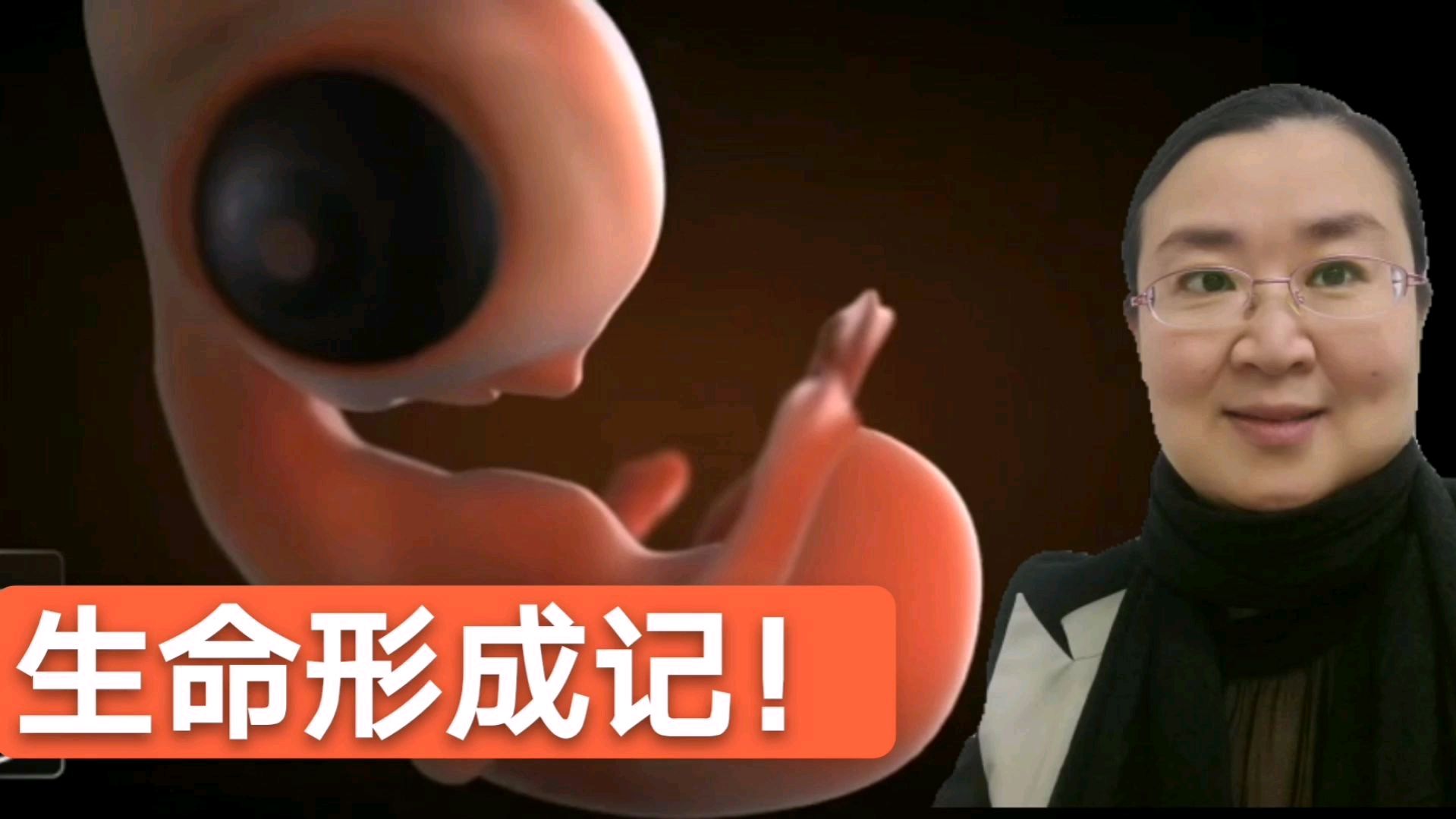 1个小生命形成了,它是什么动物的胚胎?它从0到出生需要多久?