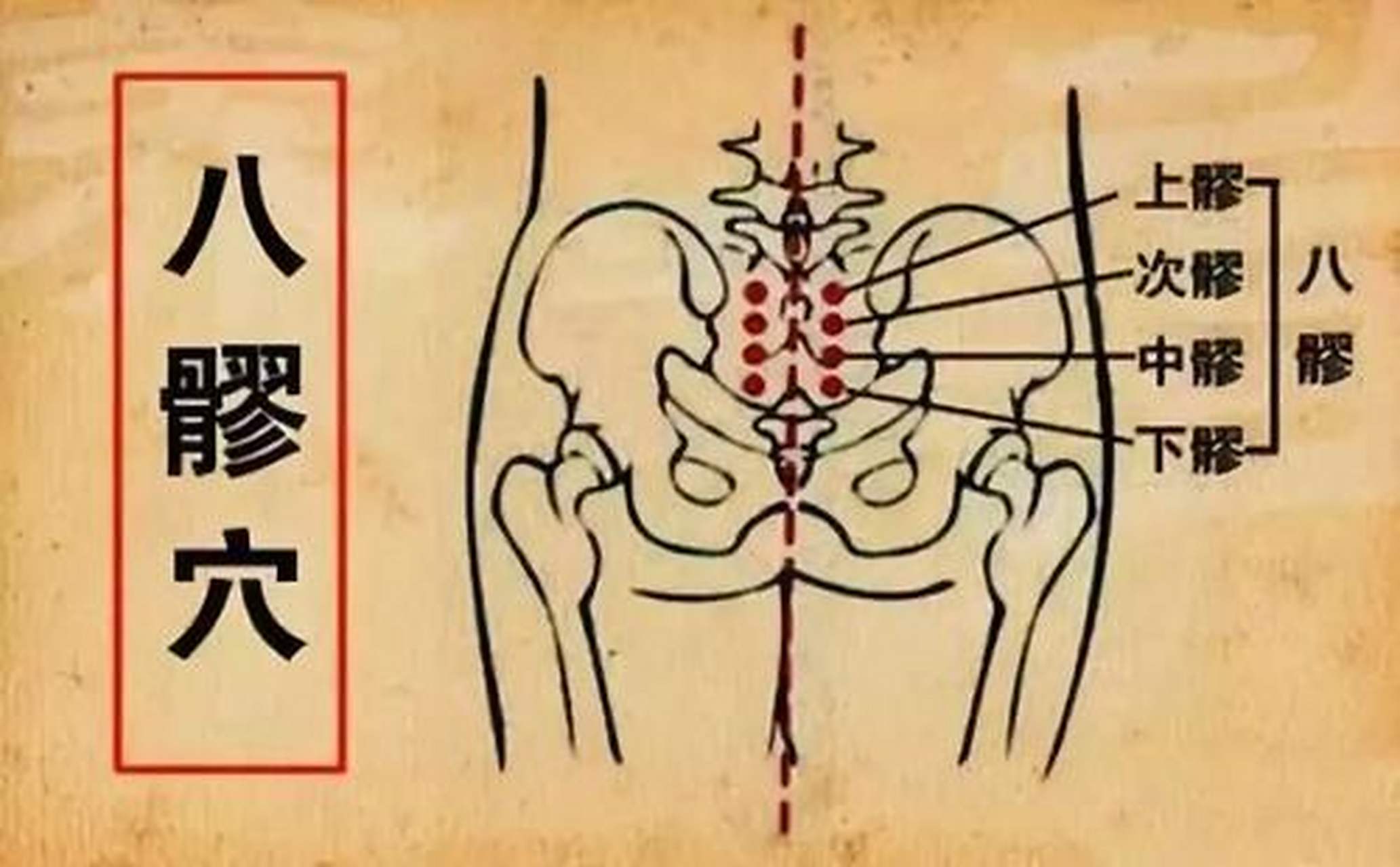 科普知识竞赛#【科普小知识】经常按捏八髎穴的好处:这个穴位常常得