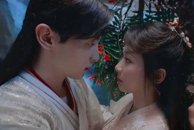 《香蜜沉沉烬如霜》锦觅看见凤凰花开了,为什么还要去找旭凤?