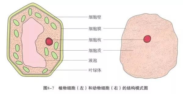 合成- 热门商品专区