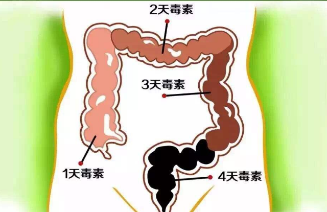 肠道中宿便堆积,常做"这个动作",助你清理肠道,排空黑臭宿便