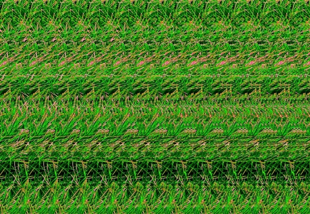 不看不知道,一看真奇妙!三维立体图系列(第7期)