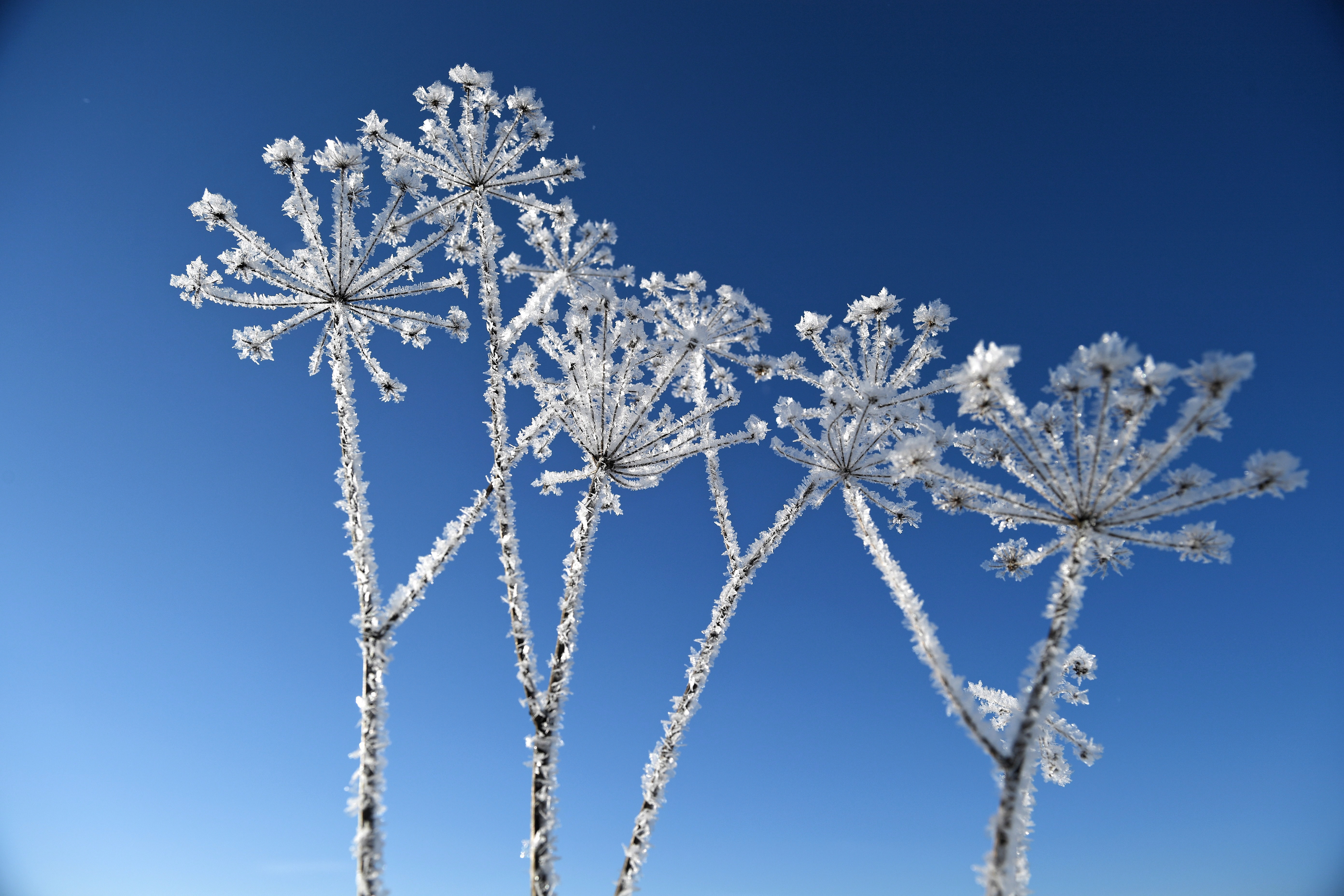 波兰毕斯兹扎迪山区雪景