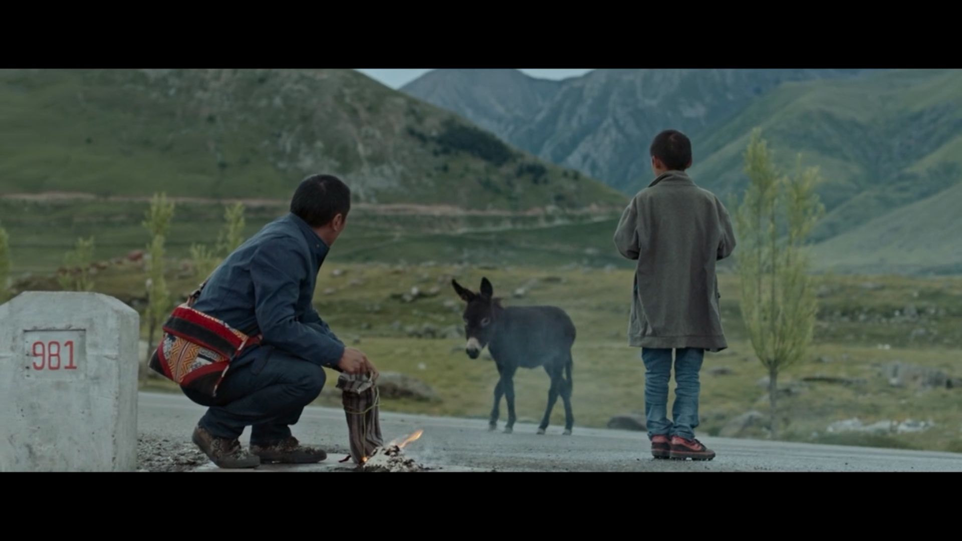 看过《阿拉姜色》才明白,原来陪伴才是最长情的告白