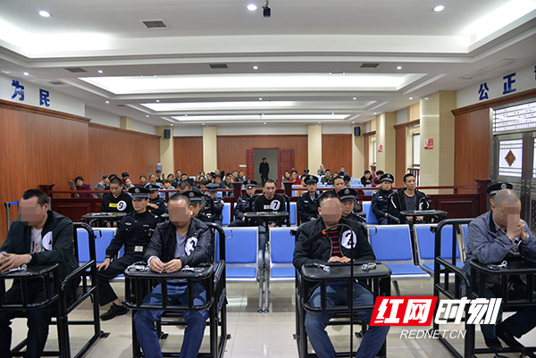 衡东9名涉恶犯罪分子受审