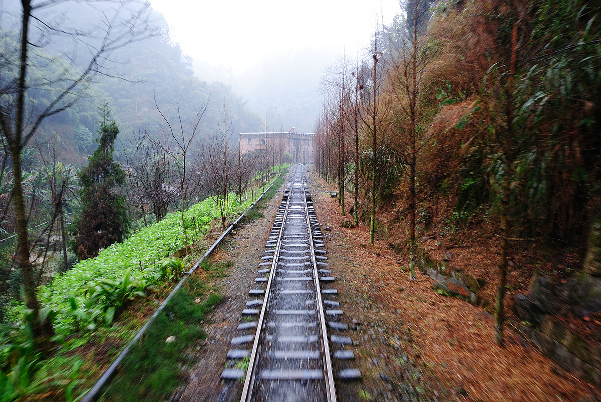 犍为嘉阳小火车旅游攻略:嘉阳小火车是目前世界上唯一还在运营的窄轨