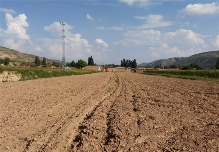 为什么要深耕,常年不深耕的土地会出现哪些危害,你知道吗