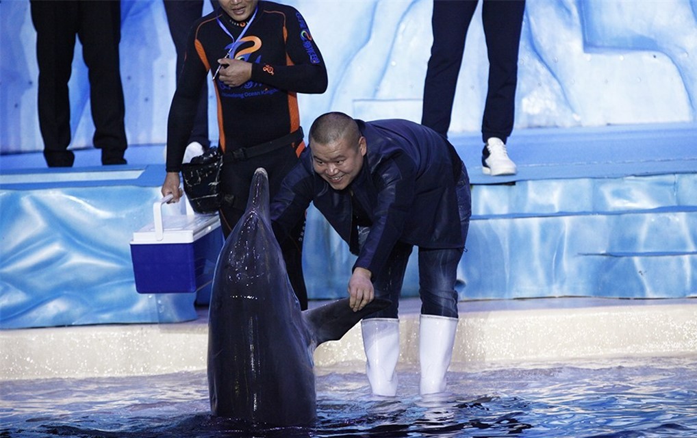 剧中的他出演一名海豚饲养员,酒后大醉的他们把海豚卖到国外,开始了一