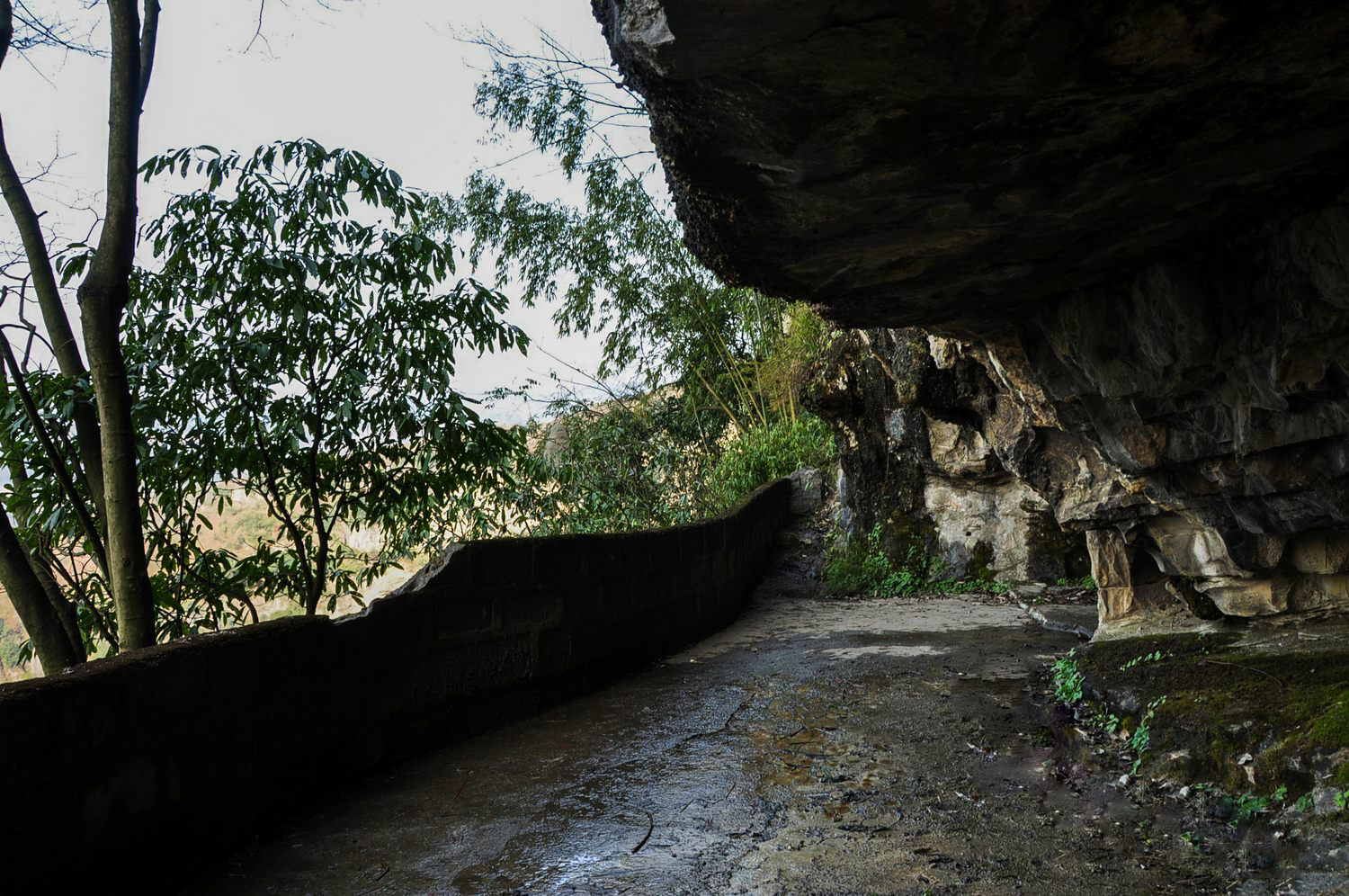 叙永天台山图片