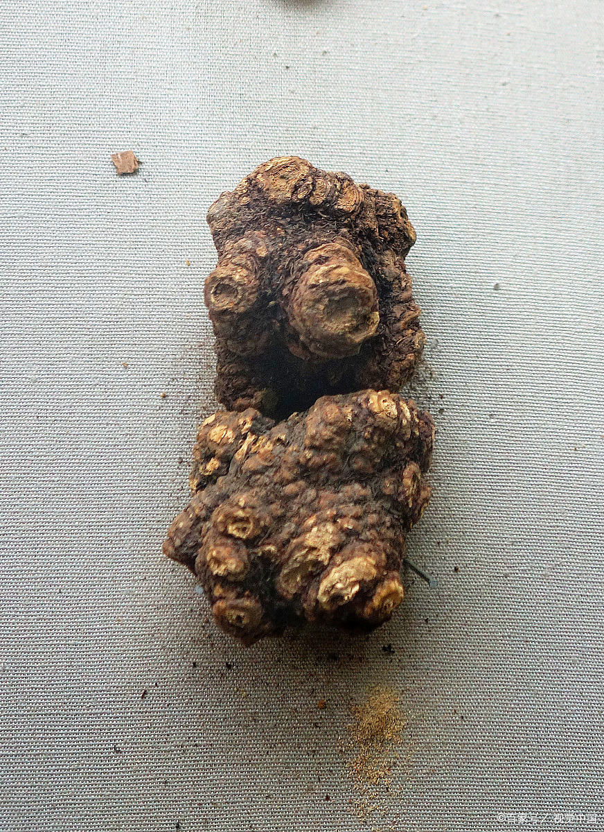 种药材哪样又快又赚钱 - 2020年最新商品信息聚合专区 - 百度爱采购