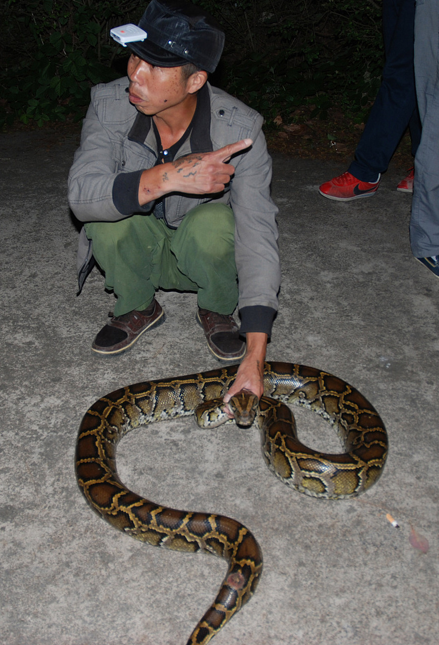 今天读到一则奇闻诡事——利川蛇墓!