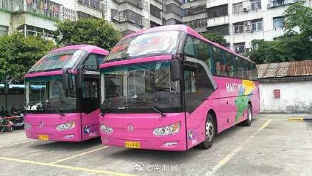 海口汽车西站3月11日起恢复运营 班线逐渐恢复