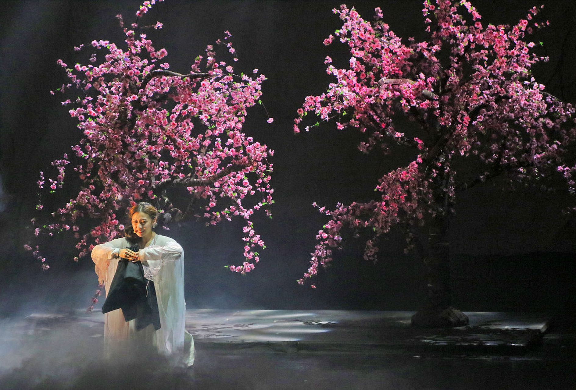 电影《桃花劫》是中国第一部以有声手法拍摄的电影.