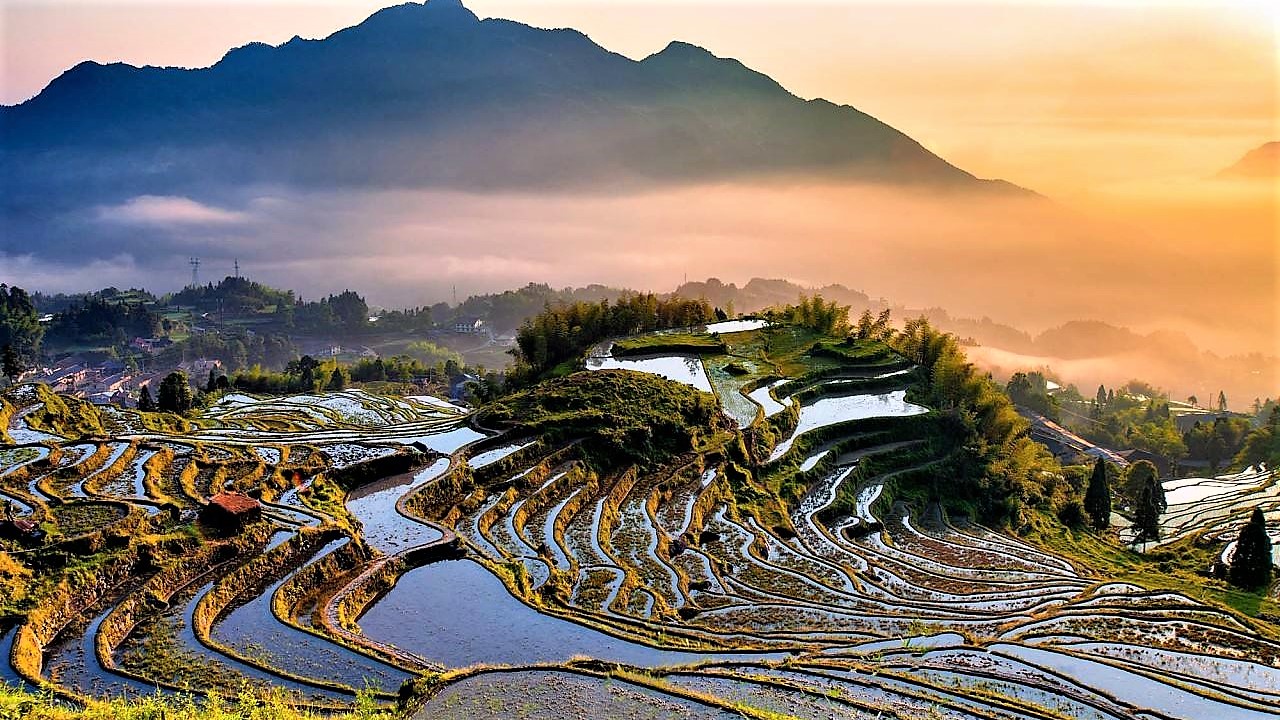 云和梯田是丽水一大特色景点. 转载自百家号作者:凉凉看天下